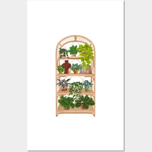 House plants collection 41 Posters and Art